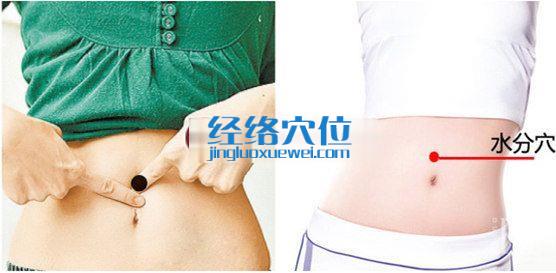 水分穴的位置圖片