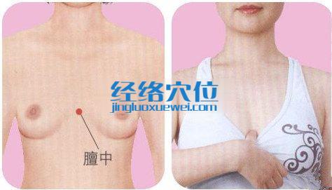 膻中穴位位置圖
