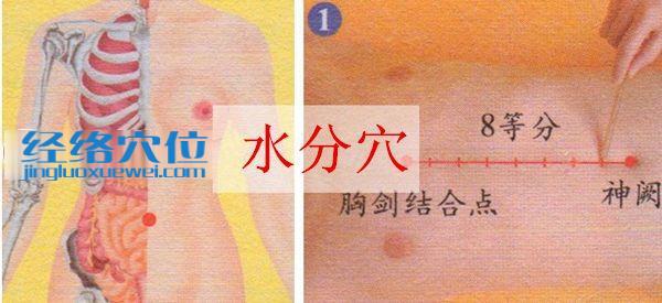水分穴的準(zhǔn)確位置圖