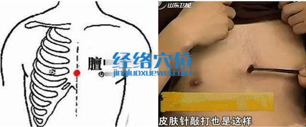 膻中穴的位置圖片