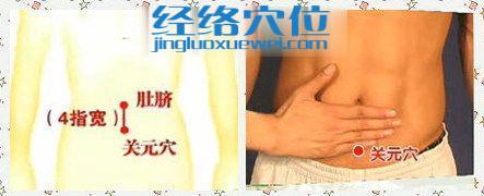 關(guān)元穴的位置圖片