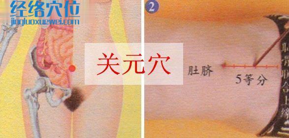 關(guān)元穴的取穴方法示范圖