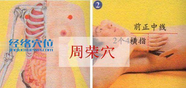 周榮穴的準(zhǔn)確位置及取穴方法示范圖