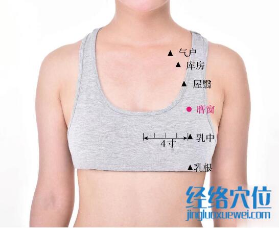 膺窗的準確位置圖及功效視頻位位置圖