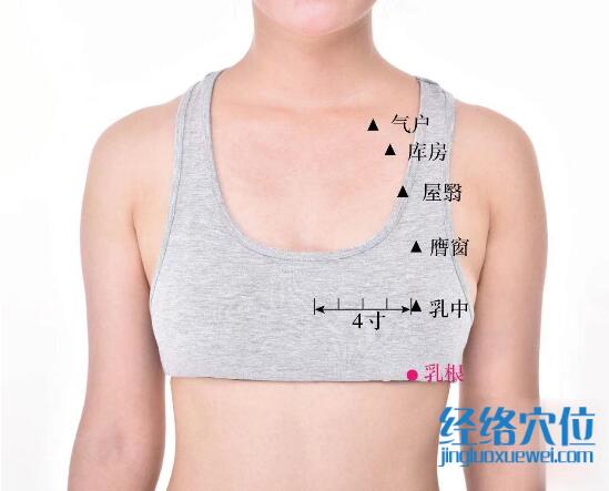 乳根的準確位置圖及功效視頻位位置圖