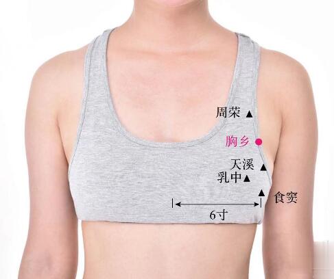 胸鄉(xiāng)的準(zhǔn)確位置圖及功效視頻位位置圖