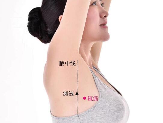 輒筋的準(zhǔn)確位置圖及功效視頻位位置圖