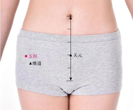 五樞的準(zhǔn)確位置圖及功效視頻位位置圖