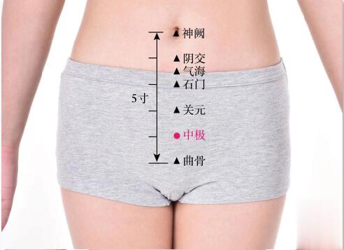 中極的準確位置圖及功效視頻位位置圖