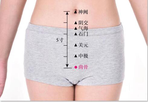 曲骨的準(zhǔn)確位置圖及功效視頻位位置圖