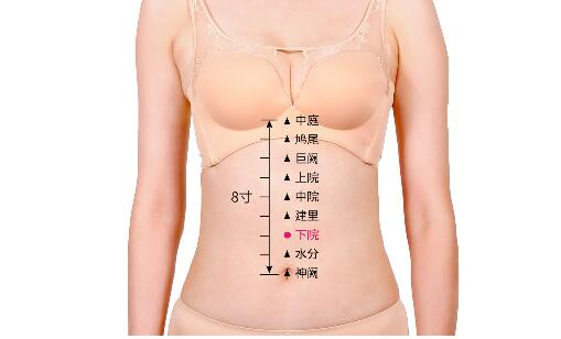 下脘的準確位置圖及功效視頻位位置圖