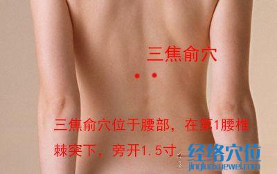 三焦俞穴位位置圖