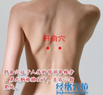 肝俞穴位位置圖