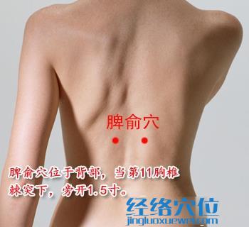 脾俞穴位位置圖