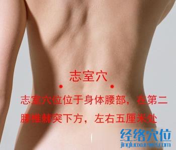 志室穴位位置圖