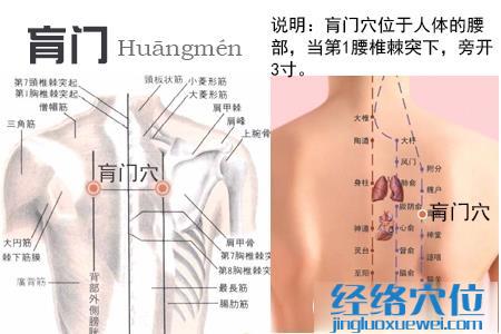 肓門穴