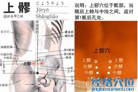上髎穴位位置圖