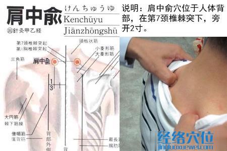 肩中俞穴位位置圖