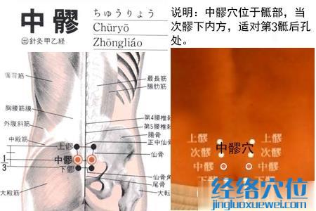 中髎穴位位置圖