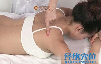 天宗穴的準(zhǔn)確位置圖