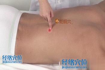 陽綱穴的準(zhǔn)確位置圖