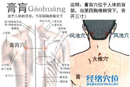 膏肓穴位位置圖