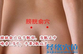 膀胱俞穴位位置圖