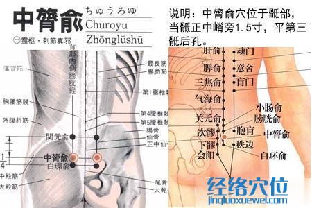 中膂俞穴位位置圖