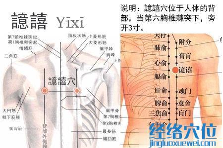 譩譆穴位位置圖