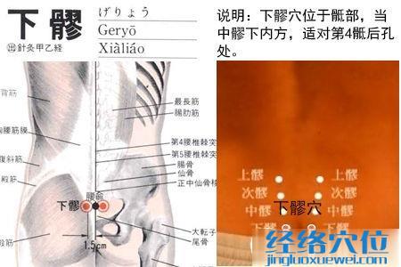 下髎穴位位置圖