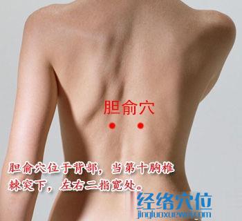 膽俞穴位位置圖