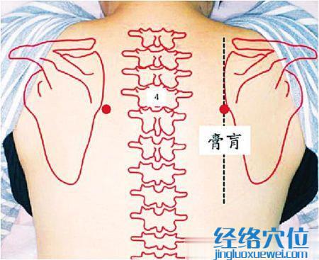 膏肓穴位位置圖