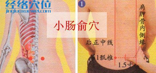小腸俞穴位位置圖