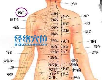 風(fēng)門穴