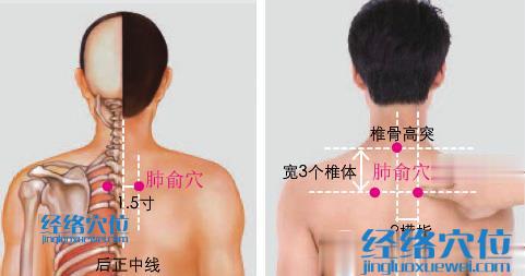 肺俞穴位位置圖