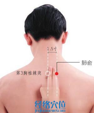 肺俞穴的準(zhǔn)確位置圖