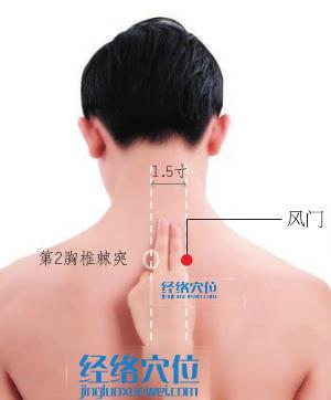 風(fēng)門穴的取穴示意圖