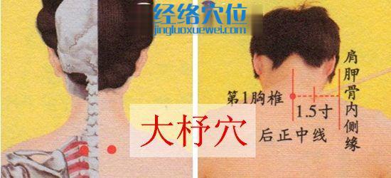 大杼穴位位置圖及取穴示意圖