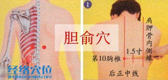 膽俞穴位位置圖