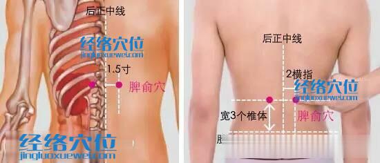 脾俞穴位位置圖