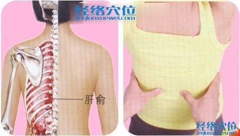 肝俞穴的準(zhǔn)確位置圖