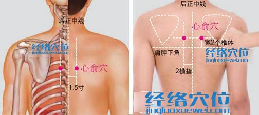 心俞穴的取穴方法及穴位位置圖
