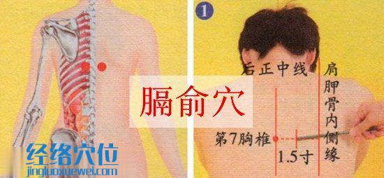 膈俞穴位位置圖