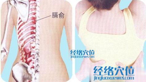 膈俞穴的準確位置圖