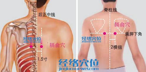 膈俞穴的準確位置圖