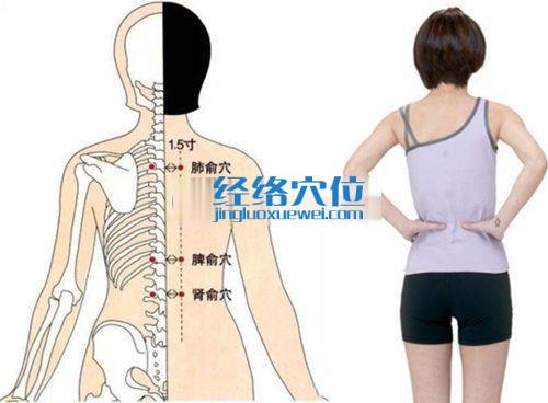 腎俞穴位位置圖