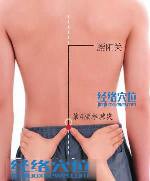 腰陽關(guān)穴的準(zhǔn)確位置圖