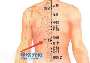 中樞穴位位置圖