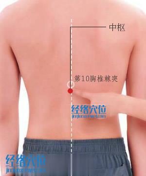 中樞穴位位置圖