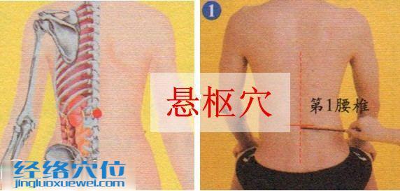 懸樞穴的準(zhǔn)確位置圖